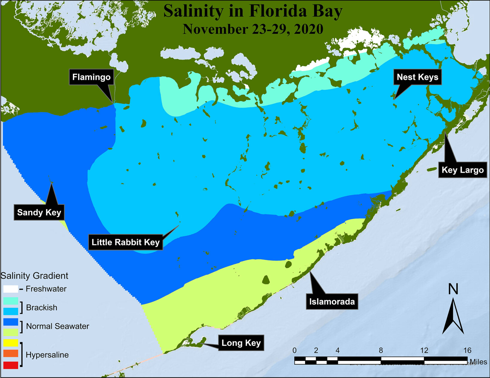 A salinity gradient that matched our best understanding of the one that existed in the historic Florida Bay formed following the above average rain South Florida received in the last four months of 2020. Beginning in the northeast, the salinity gradually increased from freshwater to normal seawater as you move farther away from the northeast coast.